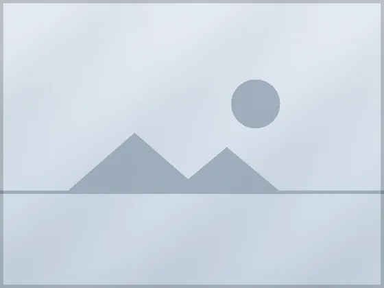 Client consultation